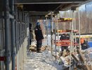 Вахтовые зарплаты в Чувашии: где республика в общероссийском рейтинге?