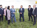 Аграрии Чувашии получат рекордные 5 миллиардов рублей субсидии