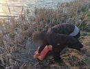 В Чувашии двое мужчин убили знакомого, утопив его в пруду