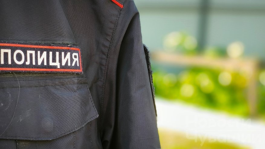 Главная картинка новости: Житель Чувашии оштрафован за укус полицейского