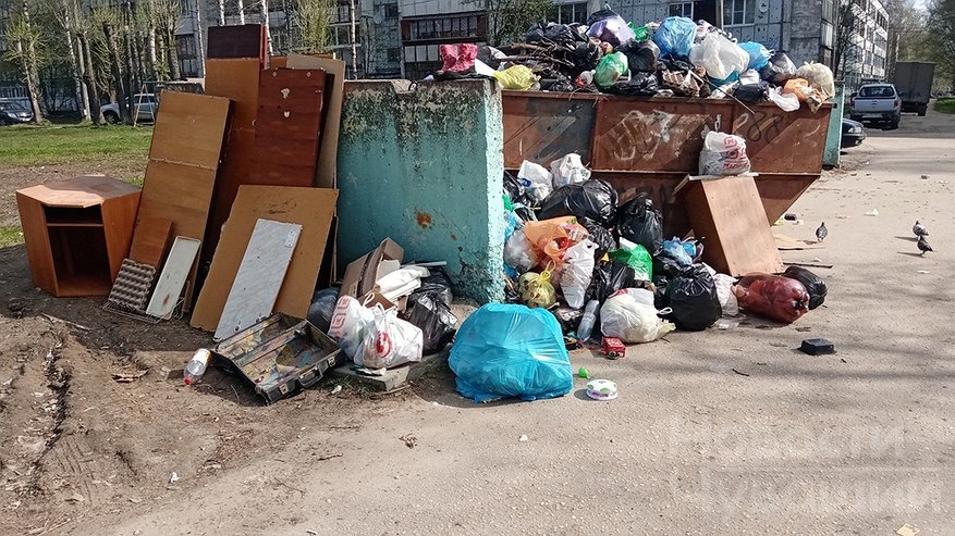 Главная картинка новости: Прокуратура Чувашии примет жалобы на вывоз мусора по “горячей линии”