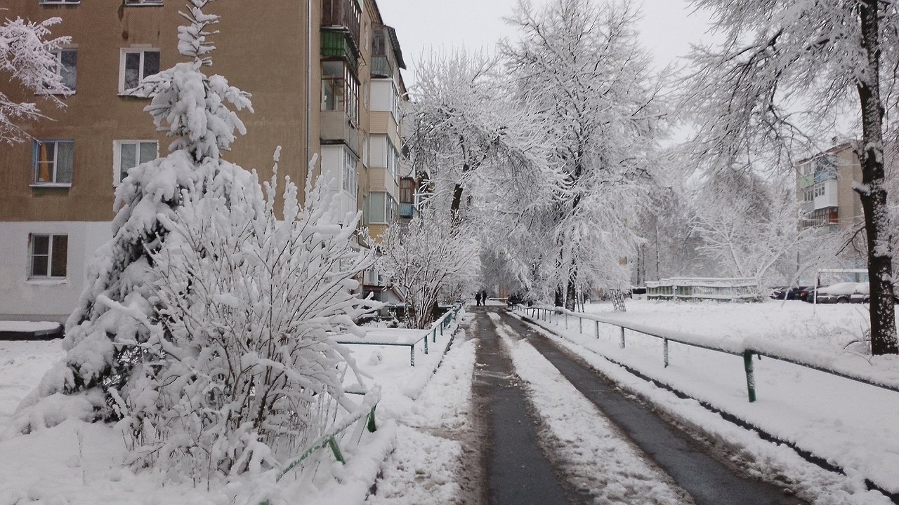 Главная картинка новости: «Июнь будет самым аномальным в XXI веке». Синоптики составили новый прогноз на это лето
