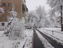 «Июнь будет самым аномальным в XXI веке». Синоптики составили новый прогноз на это лето