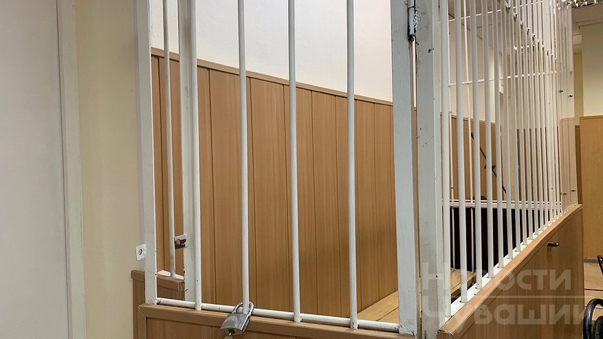 Главная картинка новости: Житель Чувашии получил срок за избиение матери палкой в огороде