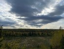 Синоптики раскрыли печальный прогноз на лето. Июль и август будут ужасными