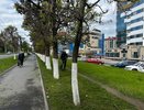 В Чебоксарах кипит работа по созданию цветущего облика города