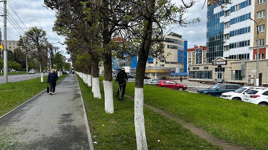 Главная картинка новости: В Чебоксарах кипит работа по созданию цветущего облика города