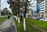 Миниатюра новости: В Чебоксарах кипит работа по созданию цветущего облика города
