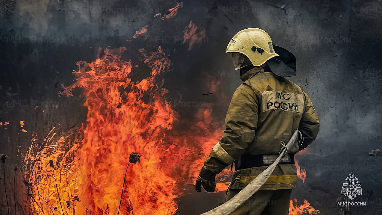 Главная картинка новости: Более 70 жителей Чувашии оштрафованы за нарушение противопожарных правил