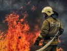Более 70 жителей Чувашии оштрафованы за нарушение противопожарных правил