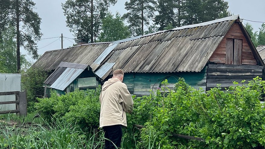 Главная картинка новости: Сорняки погибнут все разом: добавьте стакан на ведро и полейте вечером - огород преобразится до неузнаваемости
