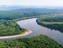 Чувашия заявила о проверке после загрязнения Алатыря и гибели рыбы