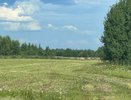 Россельхознадзор выявил нарушения при утилизации отходов в Чувашии