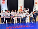 Три награды завоевали кудоисты из Чувашии на турнире в Нижнем Новгороде