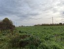 Деревня Тиуши в Чувашии оказалась в изоляции из-за бездорожья: Глава СК Бастрыкин поручил провести проверку