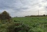 Миниатюра новости: Деревня Тиуши в Чувашии оказалась в изоляции из-за бездорожья: Глава СК Бастрыкин поручил провести проверку