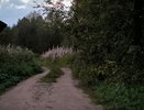 Глава СКР проверит состояние сельских дорог в Чувашии