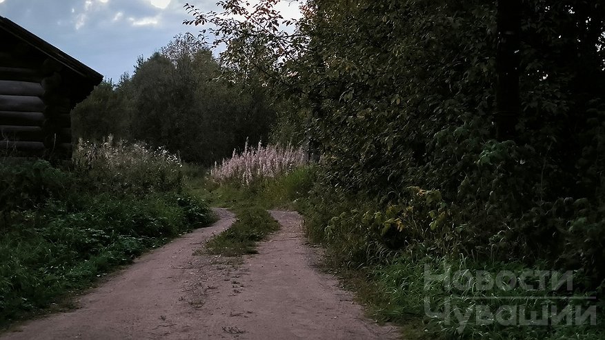 Главная картинка новости: Глава СКР проверит состояние сельских дорог в Чувашии