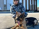 В Чувашии полицейская собака выследила пропавшую 84-летнюю женщину