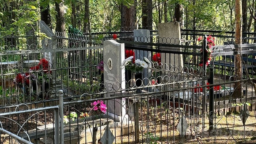 Главная картинка новости: Прокуратура выявила нарушения на кладбищах в Комсомольском районе Чувашии