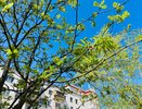 Жаркая погода и высокая пожароопасность сохранятся в Чувашии 30 мая