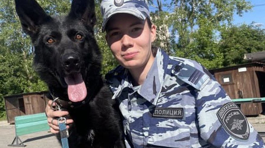 Главная картинка новости: В Чебоксарах задержали вора-рецидивиста из Марий Эл, укравшего вещи из авто
