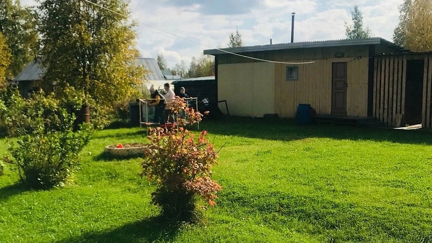 Главная картинка новости: С 5 июня до 12 июня чесноку — необходимо: разводим 20 гр. в воде — и головки вырастут размером с кулак, сочными и ядреными