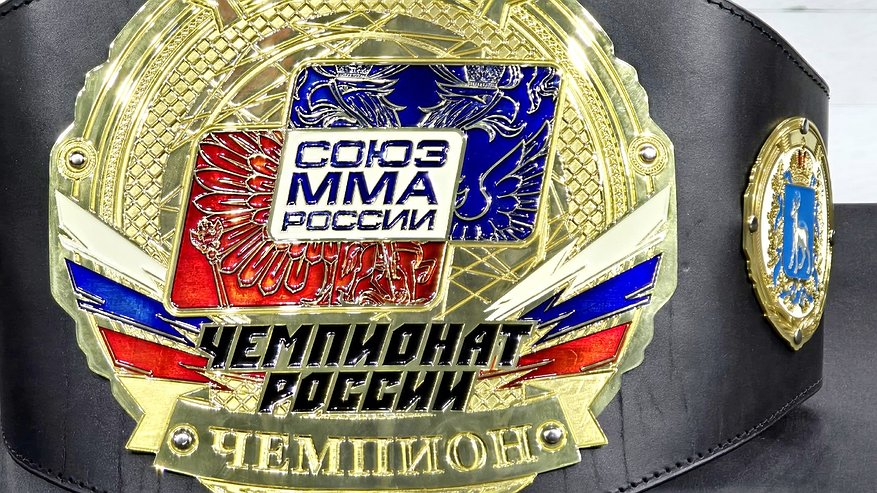 Главная картинка новости: Спортсмен из Чувашии стал серебряным призёром чемпионата России по ММА