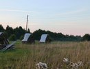 В Чувашии впервые обнаружены бибионы садовые — сигнал поступил специалистам