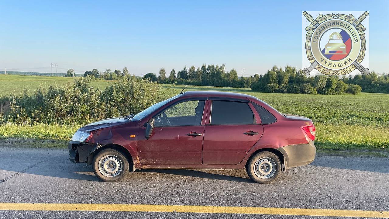 Главная картинка новости: На трассе М-7 в Чувашии автомобиль столкнулся с выбежавшим на дорогу лосем