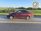 На трассе М-7 в Чувашии автомобиль столкнулся с выбежавшим на дорогу лосем