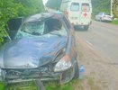 В Чувашии автомобиль сбил лося
