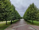 В Гидрометцентре рассказали, что будет в июле – такого в XXI веке еще не было