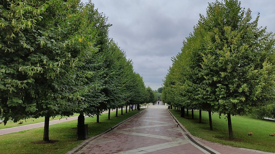 Главная картинка новости: В Гидрометцентре рассказали, что будет в июле – такого в XXI веке еще не было