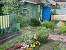 Сорняки мигом исчезнут: развожу 1 стакан на ведро и поливаю вечером - утром огород будет не узнать
