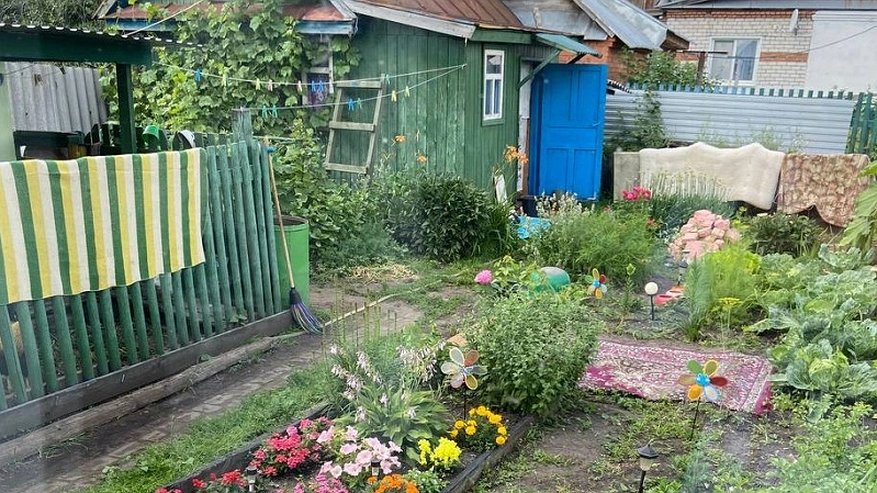 Главная картинка новости: Сорняки мигом исчезнут: развожу 1 стакан на ведро и поливаю вечером - утром огород будет не узнать