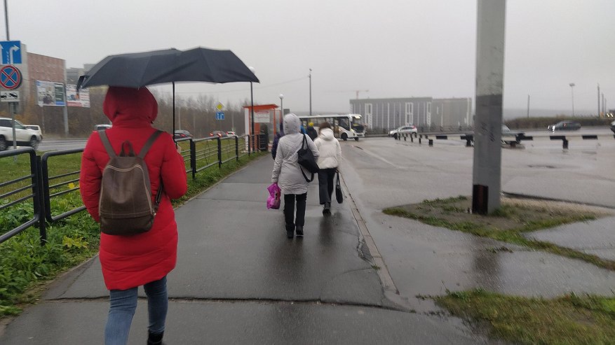 Главная картинка новости: Возвращение к ливням и грозам: Гидрометцентр изменил прогноз с 17 июня — снова лютые аномалии