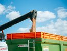 В Чувашии на 1,4% увеличилось число сельскохозяйственных предпринимателей