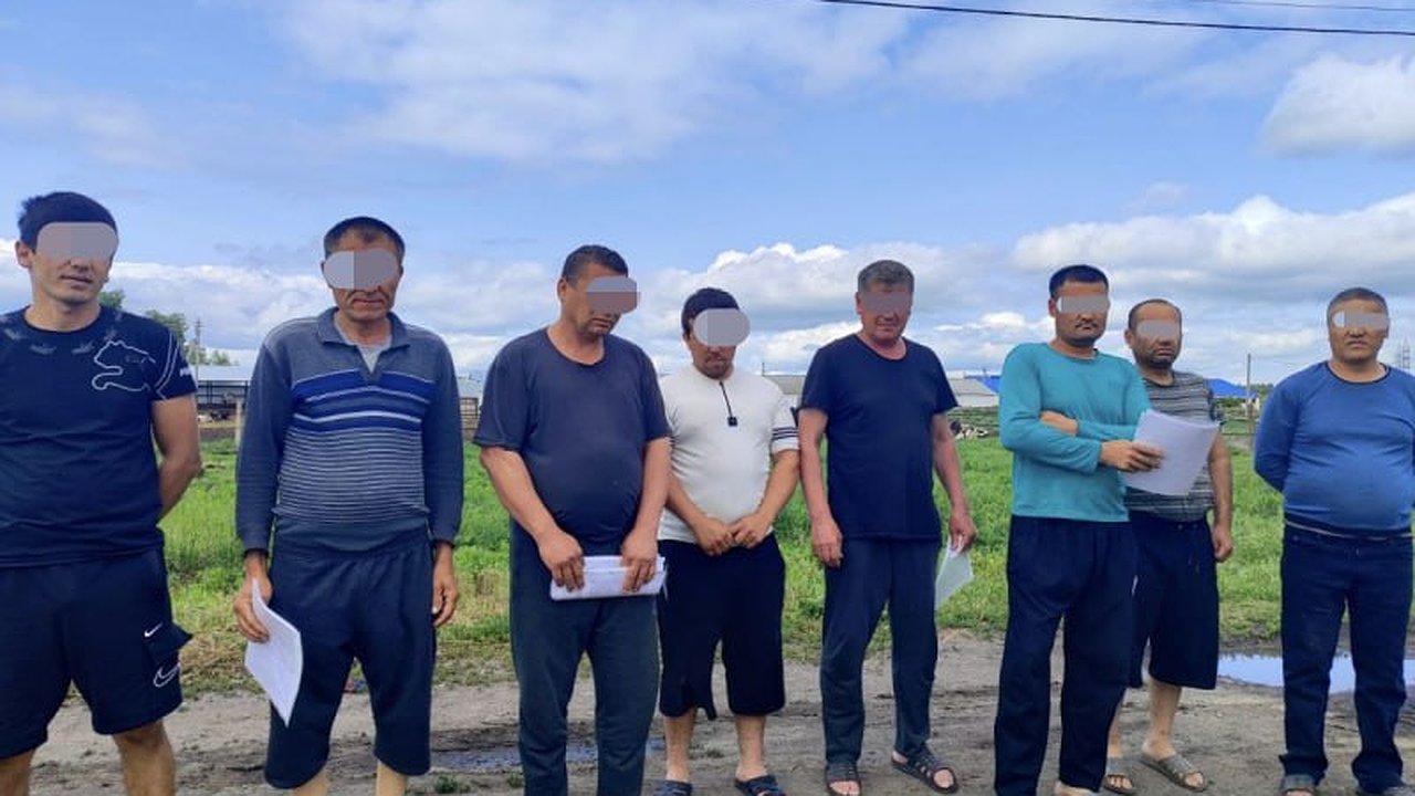 Главная картинка новости: Полиция Чувашии выявила новых нарушителей миграционного режима