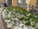 Холода возвращаются: Гидрометцентр сообщает о морозах и мокром снеге с 29 июня