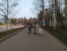 Все, у кого есть цифры 1, 5, 3, 2 в дате рождения – вот, что вас ждет в июле 2025