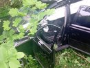 В Чувашии Volvo столкнулась с деревом