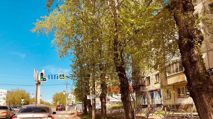 Главная картинка новости: Наступит настоящее лето: Роман Вильфанд назвал точную дату потепления в Центральной России
