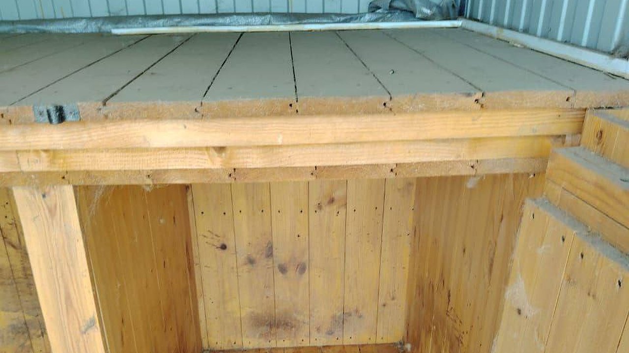 Главная картинка новости: Лиса напала на собаку в приюте под Чебоксарами, начата проверка