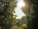 В Чувашии в полтора раза перевыполнили объём посева лесных культур