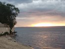 В Чебоксарское водохранилище выпустили свыше 10 тысяч молоди стерляди