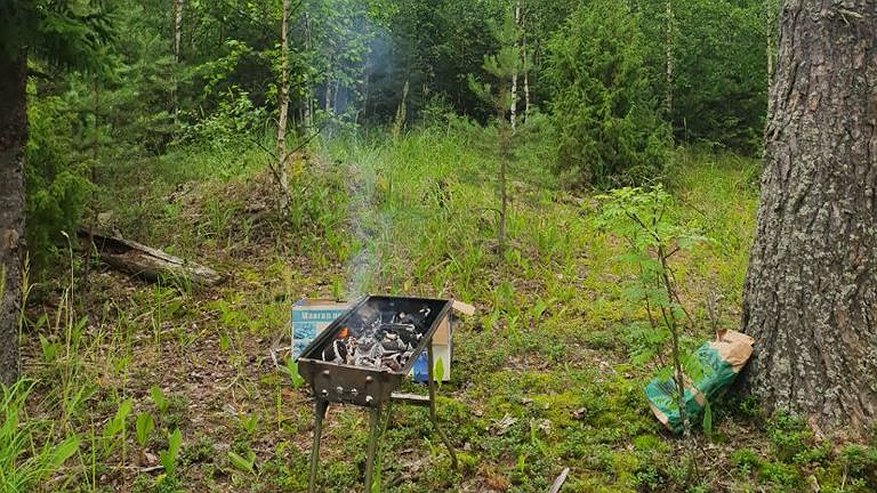 Главная картинка новости: Тлеющий мангал обнаружили в лесу Чувашии во время рейда
