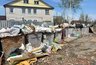 Миниатюра новости: Прокуратура добилась ликвидации свалок в садовых массивах Чебоксар