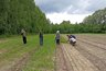 Миниатюра новости: В Чувашии усилили работы по восстановлению зелёных территорий