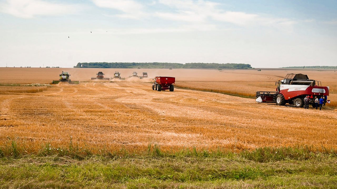 Главная картинка новости: В Чувашии начали уборочную кампанию с рекордной поддержкой аграриев
